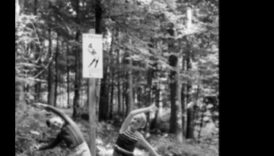 التدريبات في الغابات: تمارين في الهواء الطلق في الغابات السلمية