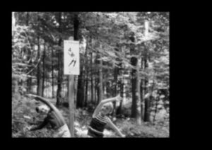 التدريبات في الغابات: تمارين في الهواء الطلق في الغابات السلمية