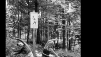 التدريبات في الغابات: تمارين في الهواء الطلق في الغابات السلمية