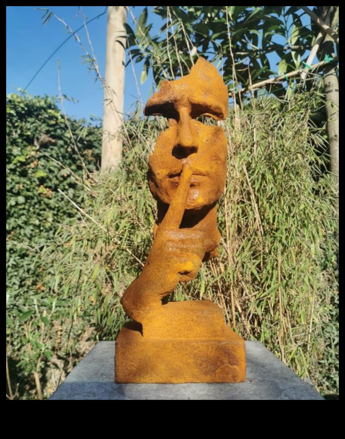 الصفاء المنحوت: فن الحديقة الفريد الذي يناسب كل الأذواق