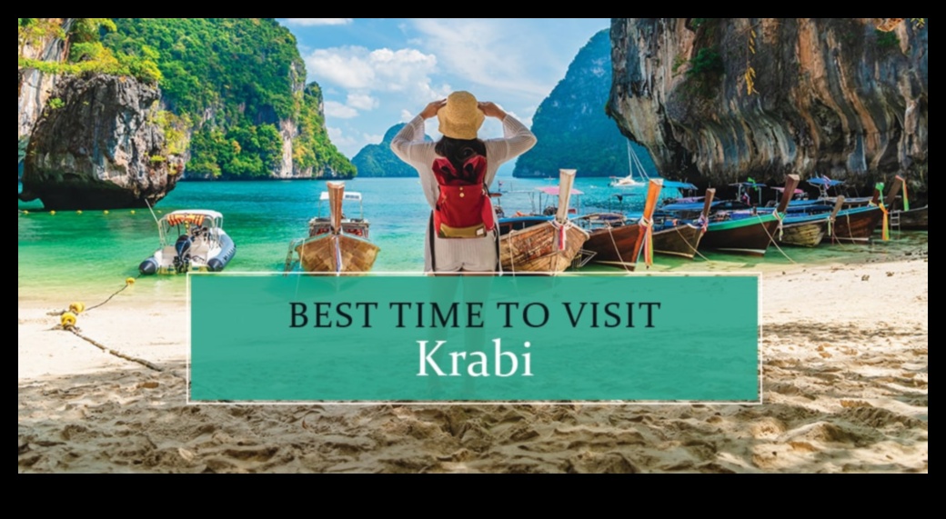 الشروع سريع الزوال: احتضان اللحظات العابرة مع نصائح السفر