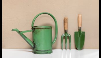 أدوات الحدائق ذات العظمة: تعريف المعدات الأساسية