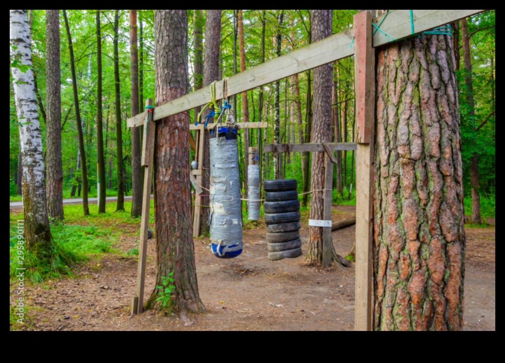 بلاد العجائب المشجرة: التدريبات في الهواء الطلق في الغابات الساحرة