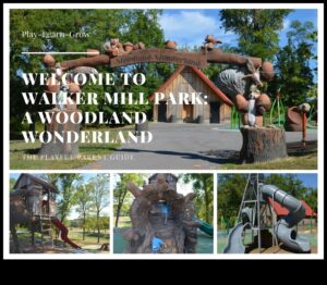 بلاد العجائب المشجرة: التدريبات في الهواء الطلق في الغابات الساحرة