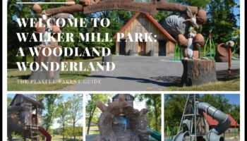 بلاد العجائب المشجرة: التدريبات في الهواء الطلق في الغابات الساحرة