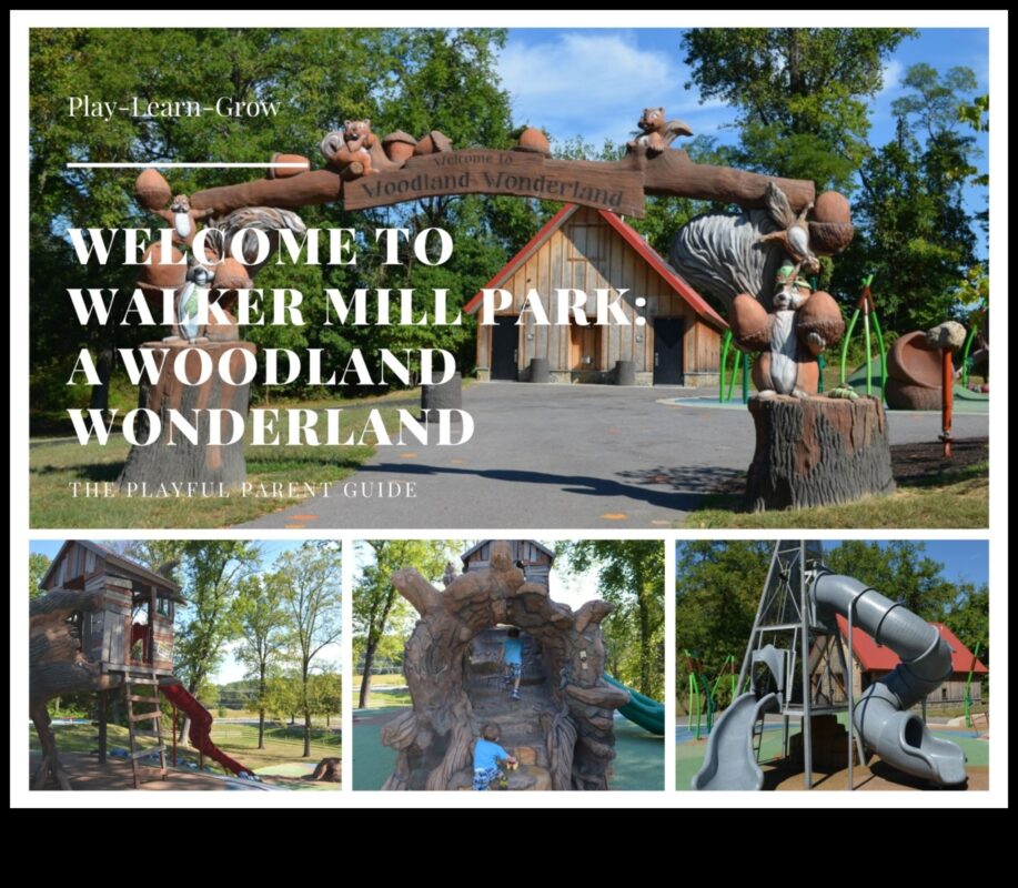 بلاد العجائب المشجرة: التدريبات في الهواء الطلق في الغابات الساحرة