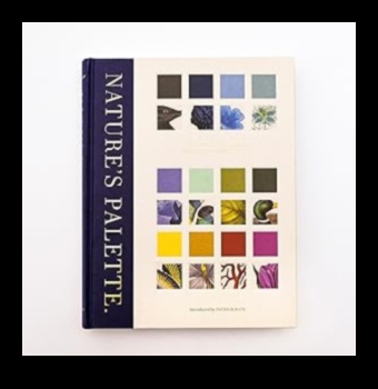 لوحة الطبيعة: تعزيز واحتك بفن الحدائق