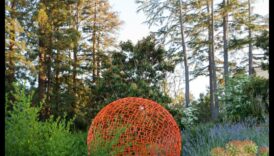 لوحة الطبيعة: تعزيز واحتك بفن الحدائق