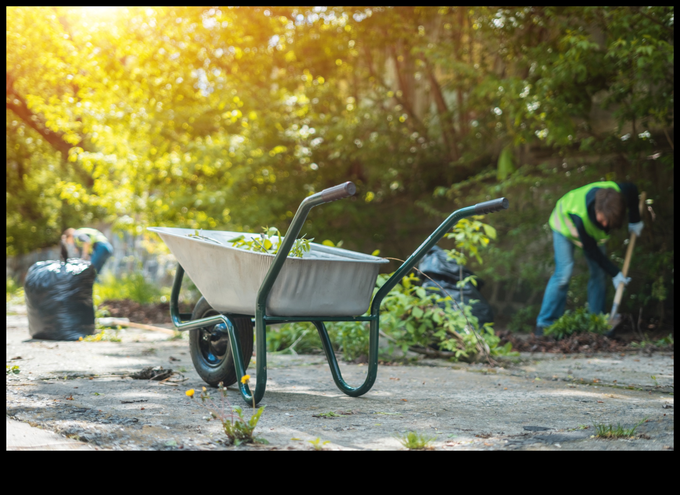 Green Guardians 5 طرق لترقية حديقتك الترسانة 2 الحراس الأخضر: قم بترقية ترسانة حديقتك