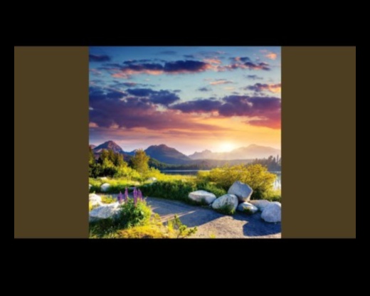 سيمفونية الحديقة: قصيدة متناغمة للصفاء 3 سمفونية الحديقة: غرس الصفاء من خلال الانسجام الفني