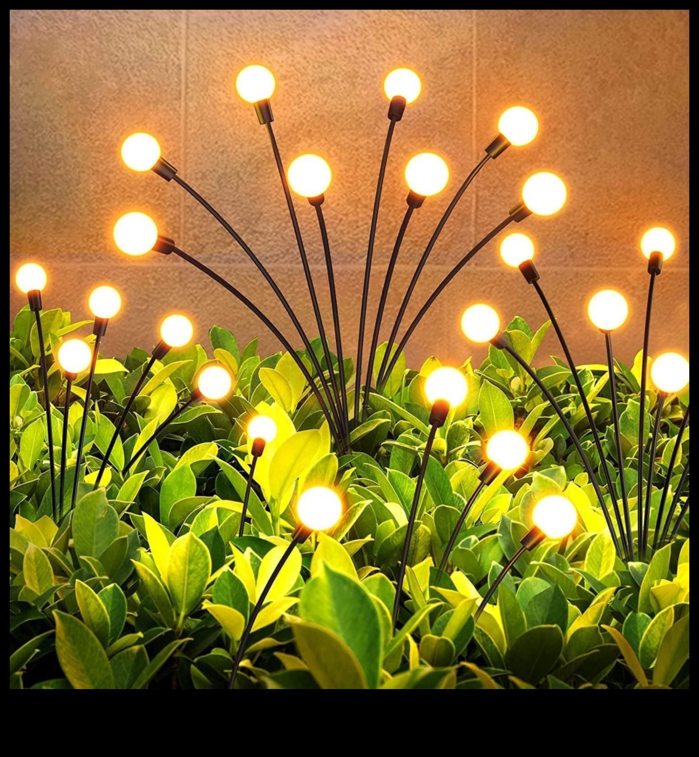 سمفونية الحديقة: قصيدة متناغمة للصفاء 2 سمفونية الحديقة: غرس الصفاء من خلال الانسجام الفني