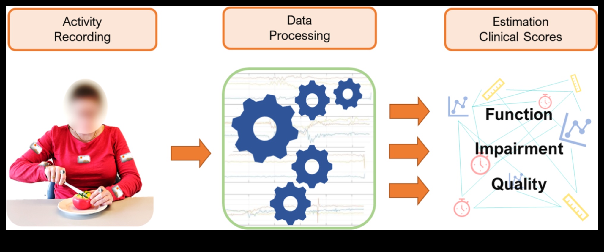 إصابة البصيرة: نهج قائم على الدقة لإعادة التأهيل 3 إصابة البصيرة: التنقل في إعادة التأهيل بدقة