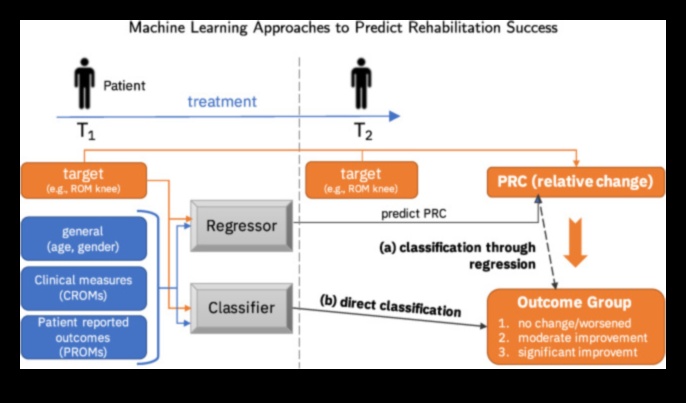 إصابة البصيرة: نهج قائم على الدقة لإعادة التأهيل 4 إصابة البصيرة: التنقل في إعادة التأهيل بدقة