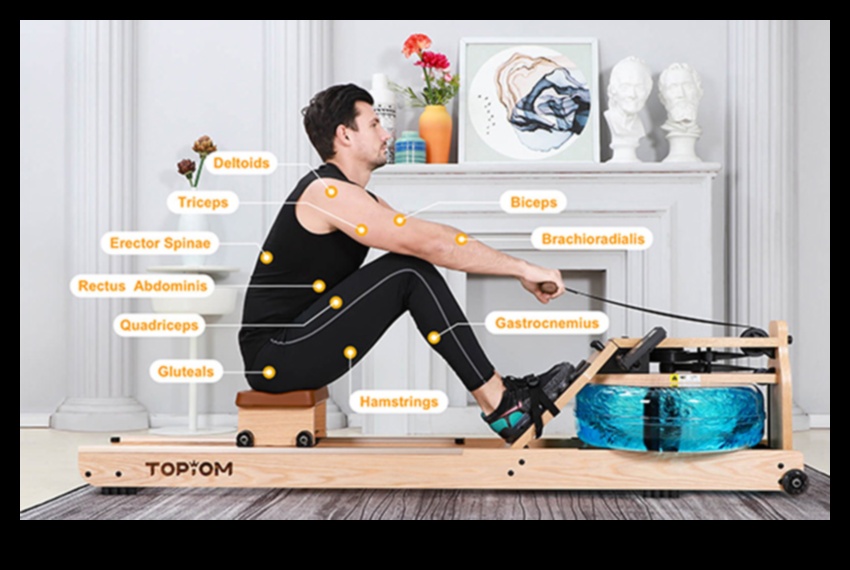 الصف إلى النتائج: تأثير التجديف على إدارة الوزن