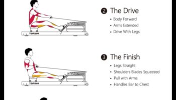 الصف إلى النتائج: تأثير التجديف على إدارة الوزن