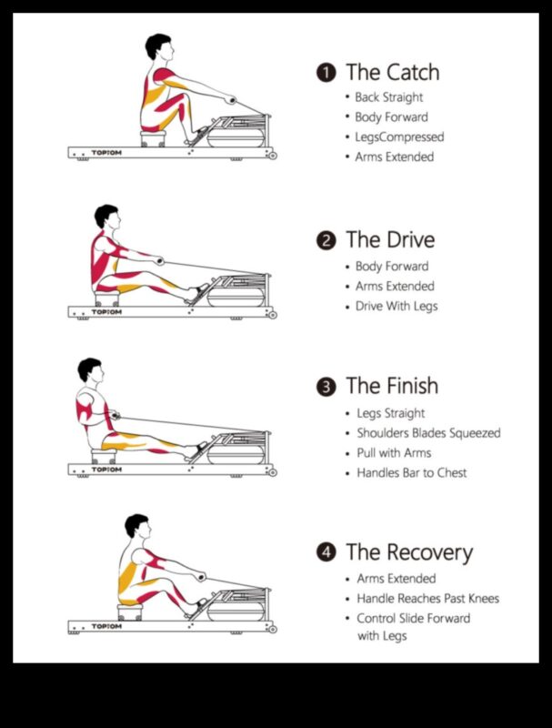 الصف إلى النتائج: تأثير التجديف على إدارة الوزن