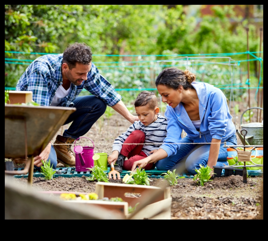 بلوم على مشاريع حديقة DIY ذات الميزانية المحدودة لكل ميزانية 2 بلوم على الميزانية: سحر DIY المبهر للحدائق