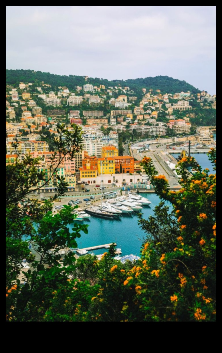 بلاد العجائب المتجولة: الرفيق الأساسي للمسافر