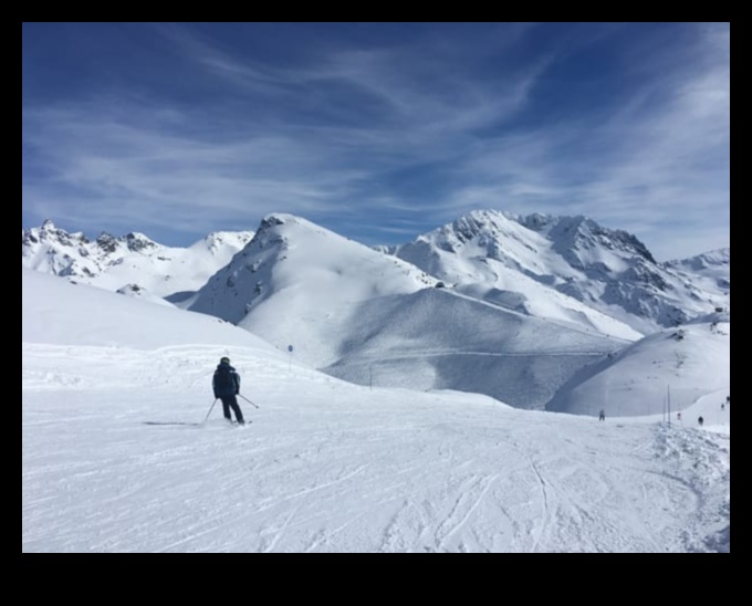 بلاد العجائب المتجولة: الرفيق الأساسي للمسافر