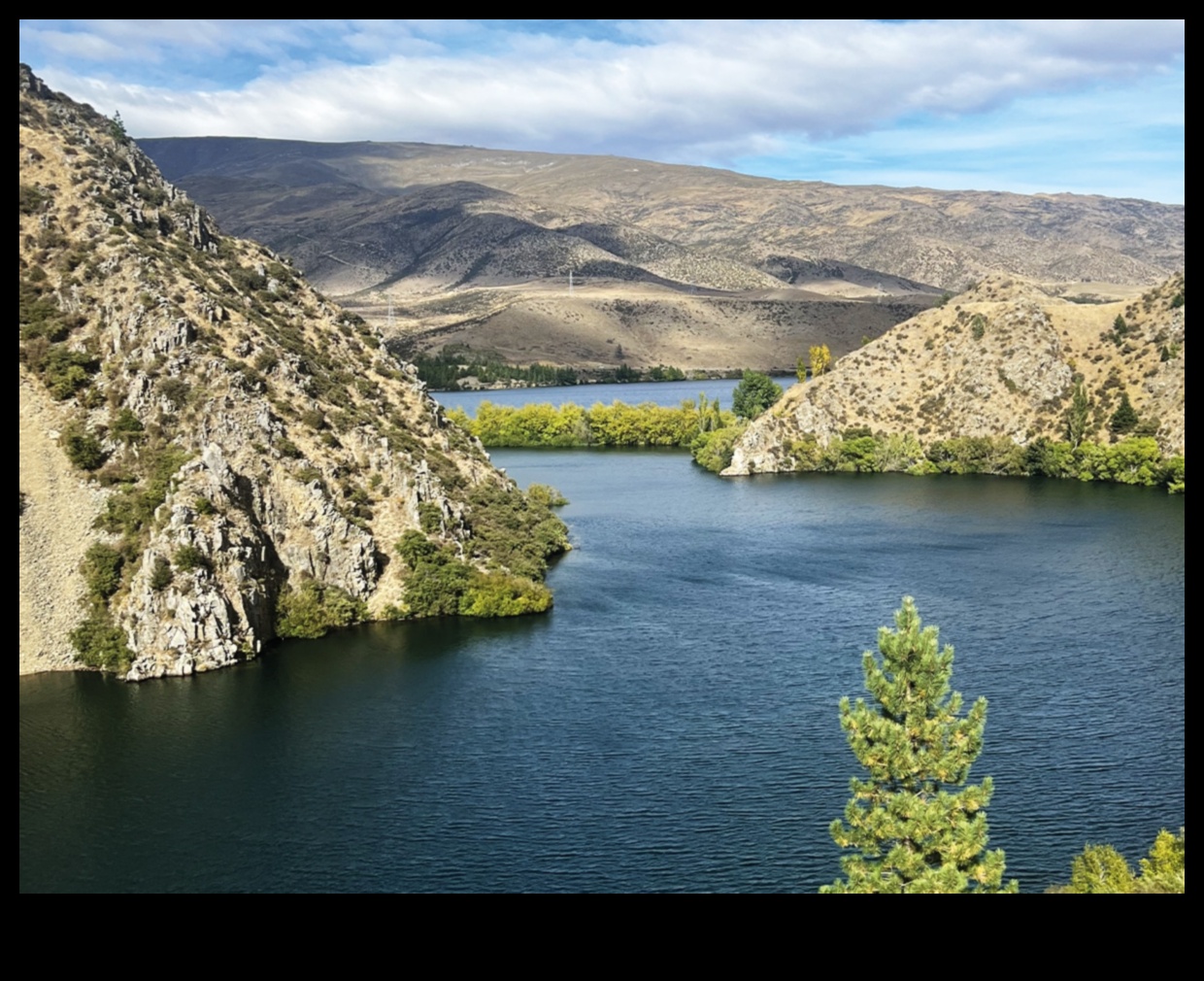 بلاد العجائب المتجولة: الرفيق الأساسي للمسافر