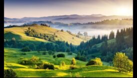 بلاد العجائب المتجولة: الرفيق الأساسي للمسافر