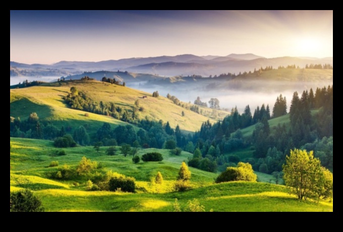 بلاد العجائب المتجولة: الرفيق الأساسي للمسافر