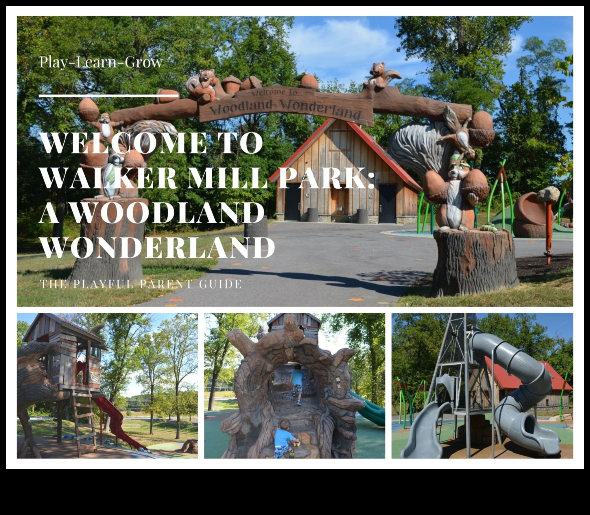 بلاد العجائب المشجرة: التدريبات في الهواء الطلق في الغابات الساحرة