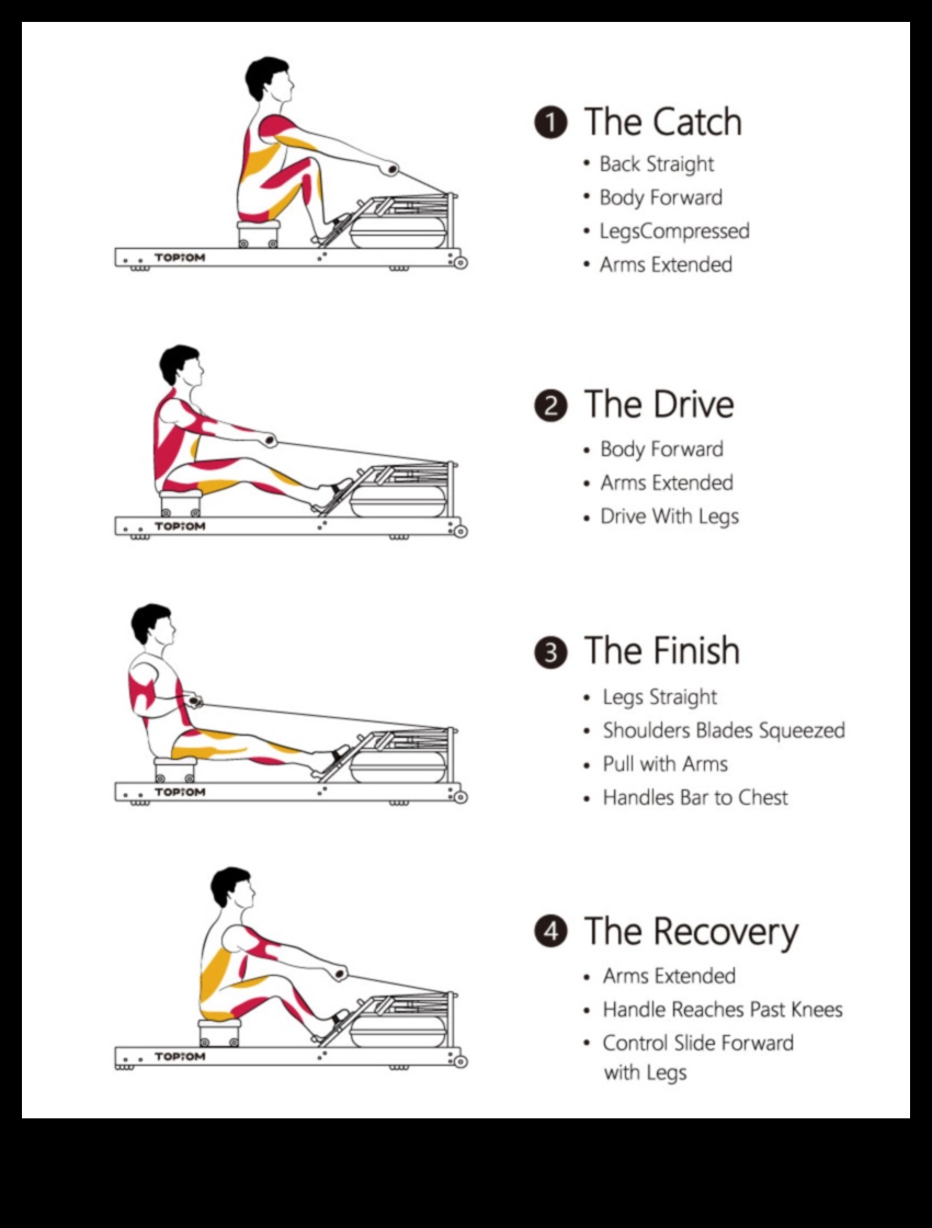 الصف إلى النتائج: تأثير التجديف على إدارة الوزن